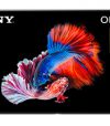 televison product 100x114 - Television 1